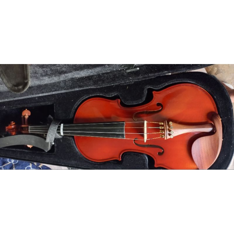 BIOLA / VIOLIN BEIJING 160