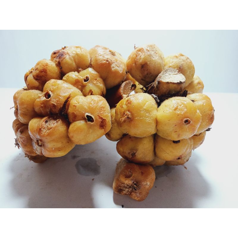 

Asam Cikala Sihala Asam Arsik Buah Honje 250 gram