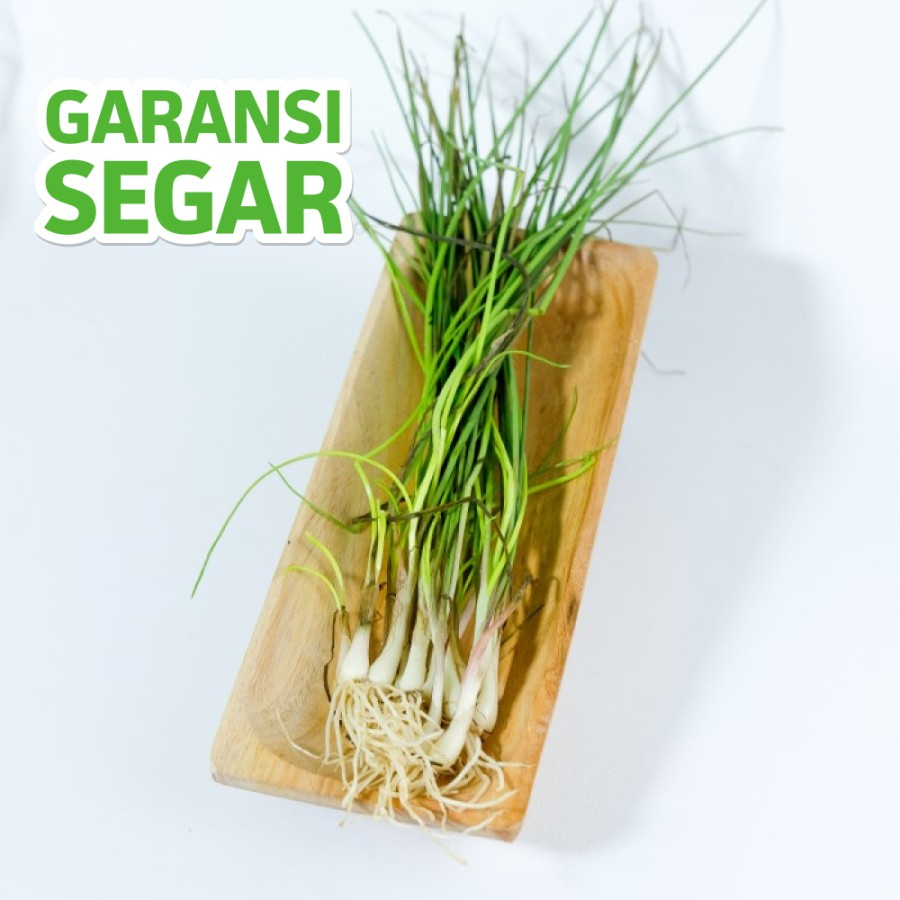 

Daun Bawang Kecil 250 Gram