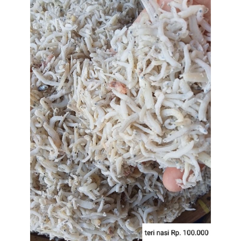 

Ikan Teri Nasi Halus