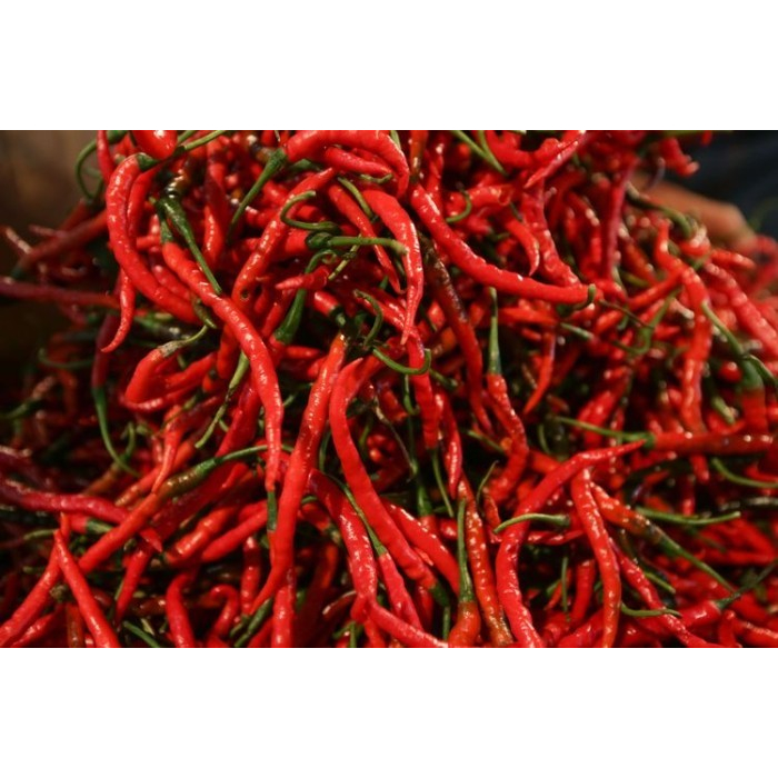 

Cabe cabai Merah Keriting Fresh Segar 1 Kg