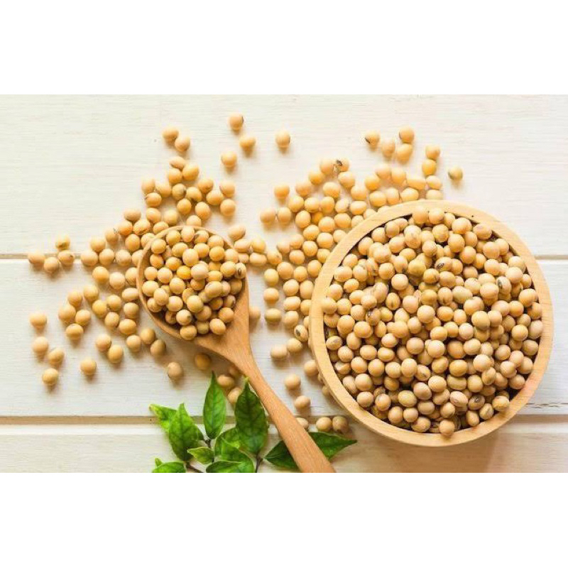 

Kacang Kedelai Amerika Kualitas Top 1Kg