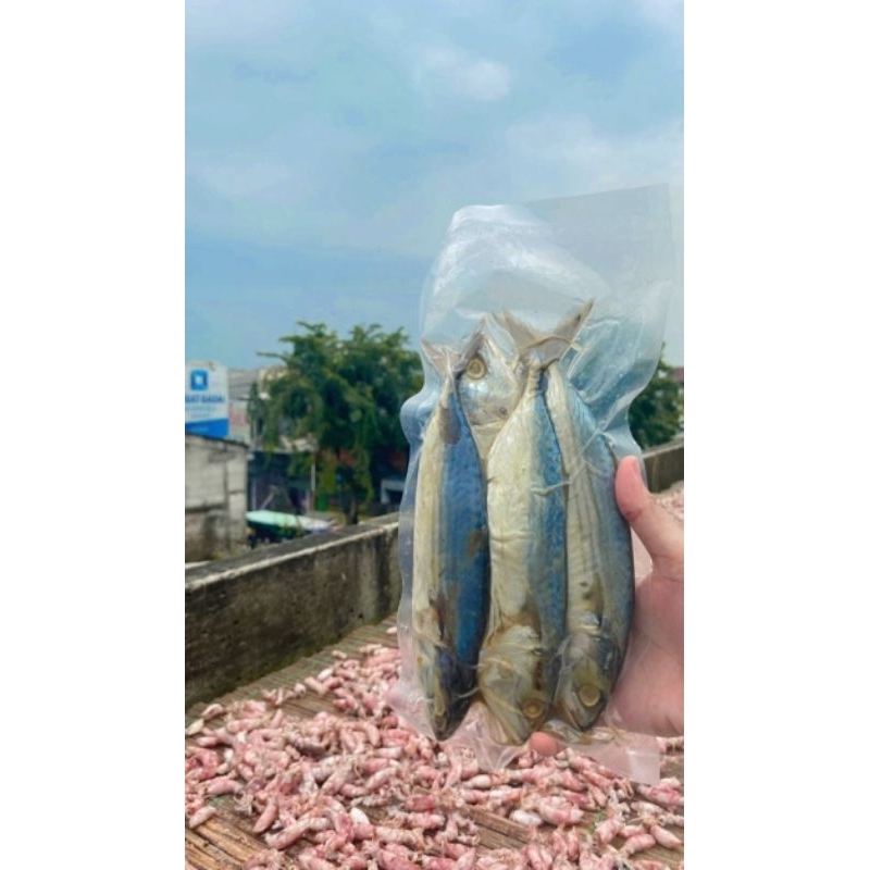 

ikan asin peda putih