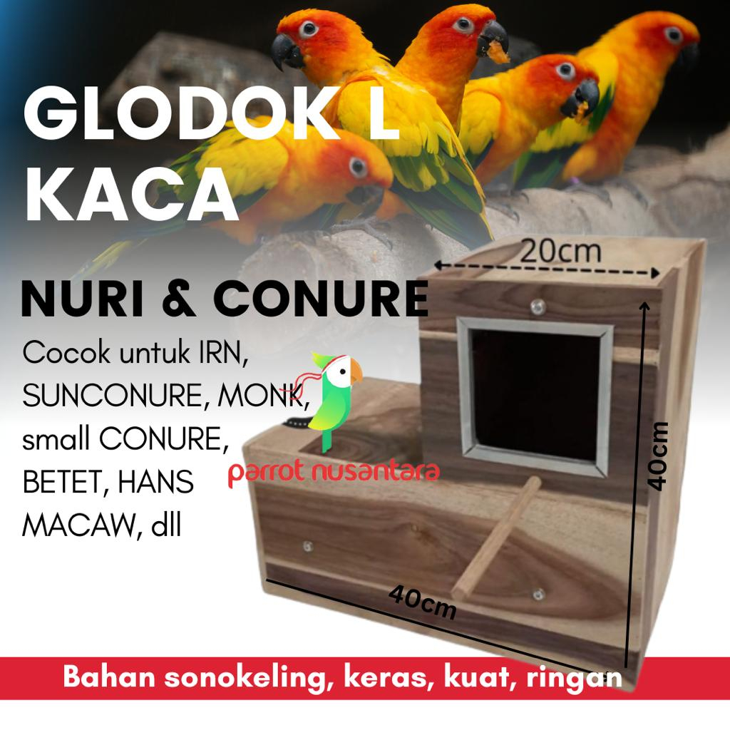 Glodok rumah sarang burung medium sun conure / nuri / falk