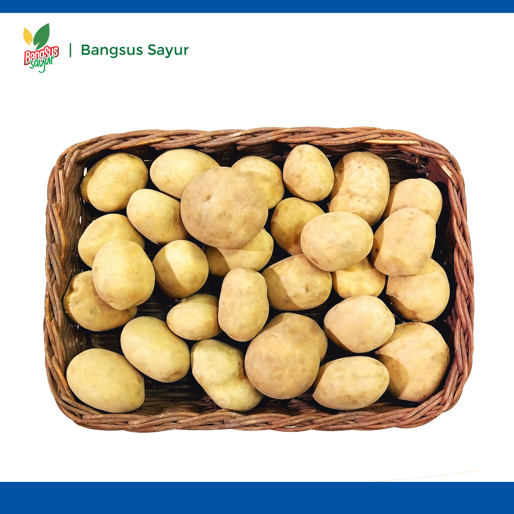 

Kentang 1Kg Segar Murah