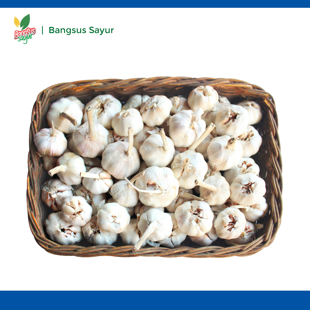 

Bawang Putih 1Kg Segar Murah