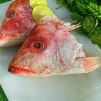 

Kepala Ikan kakap merah 500gr