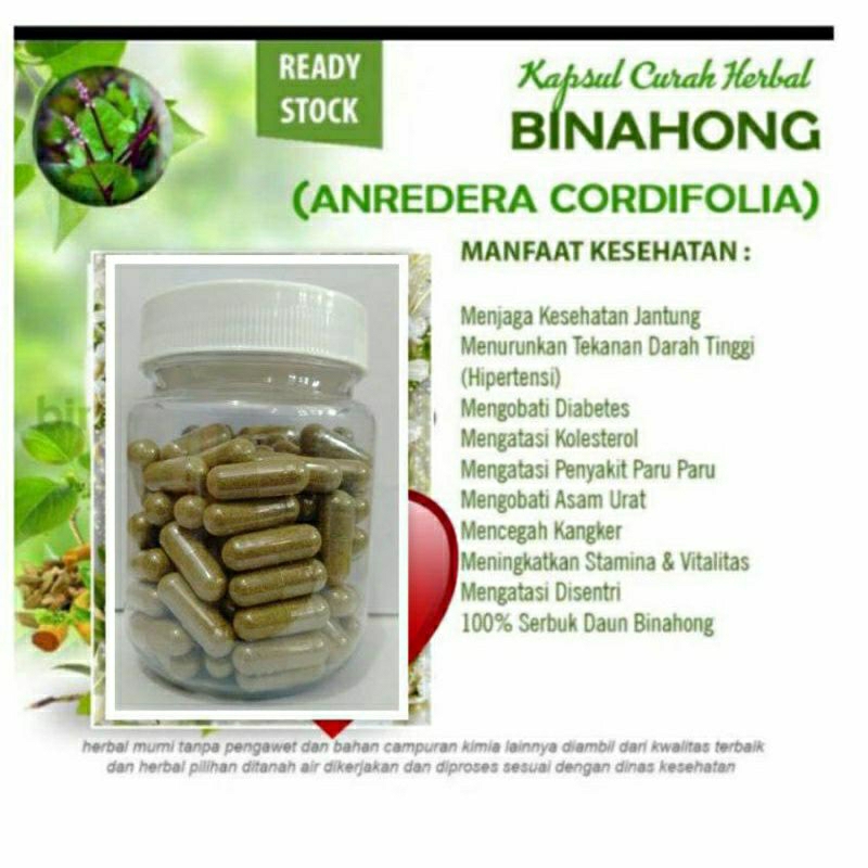 

BINAHONG 100 KAPSUL OBAT HERBAL TERBAIK (PREMIUM QUALITY)