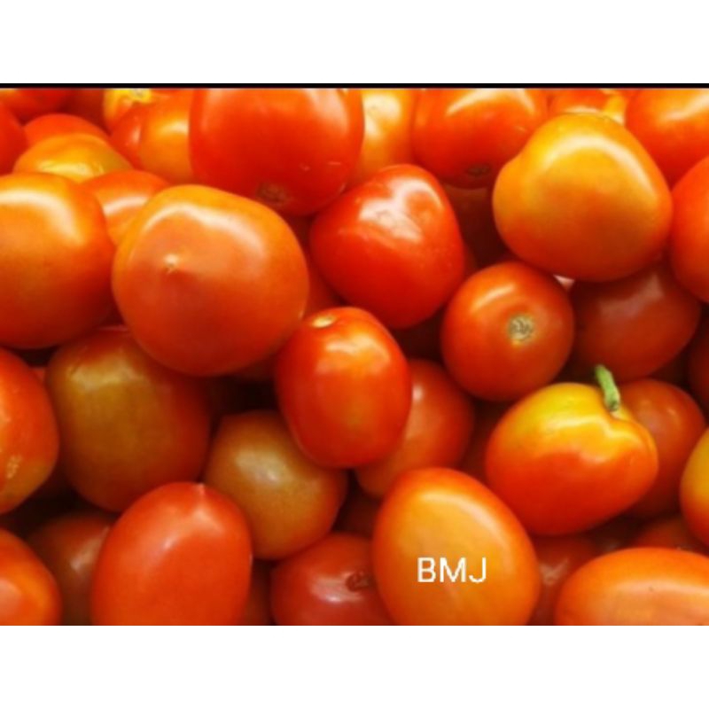 

Tomat segar 250gram / 500 gram