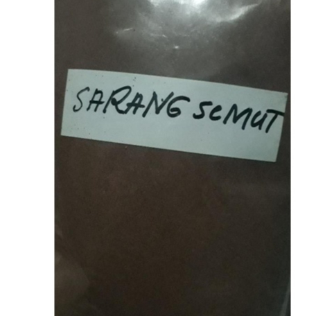 

TERBAIK BUBUK SARANG SEMUT HERBAL 250 GRAM