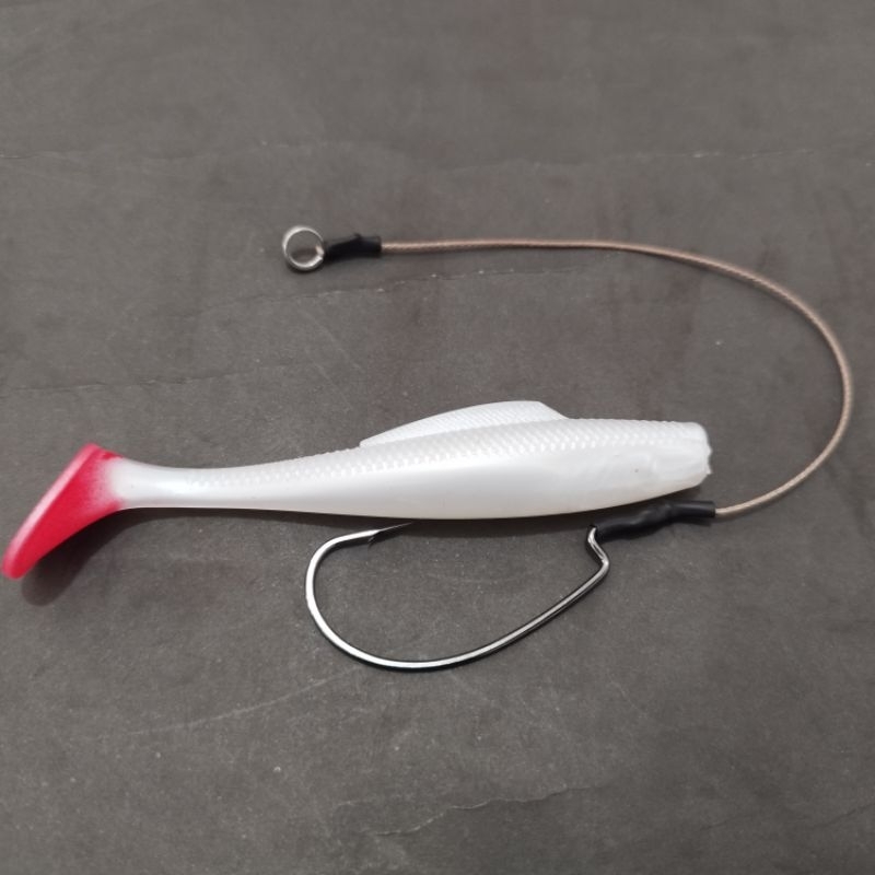 SOFT LURE 10 CM + ASIS WORM HOOK 3/0 Bkk