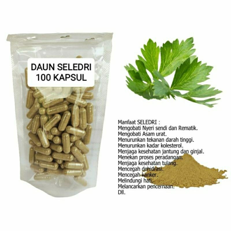 

DAUN SELEDRI 100 KAPSUL OBAT HERBAL TERBAIK TOPP SELLER JATIM (PREMIUM QUALITY)