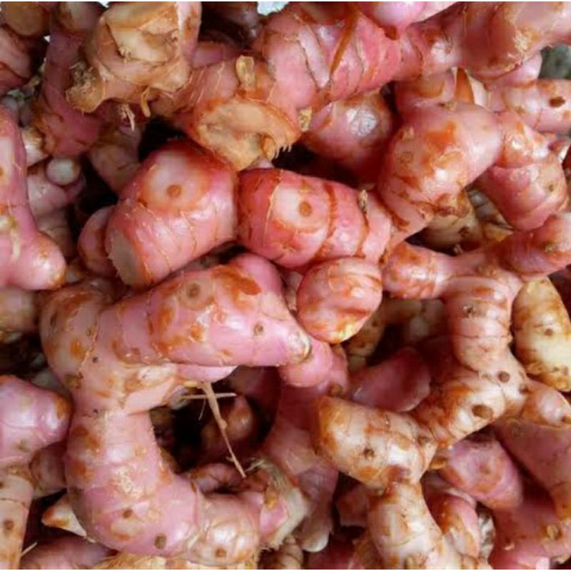 

Lengkuas segar 1 kg sudah bersih