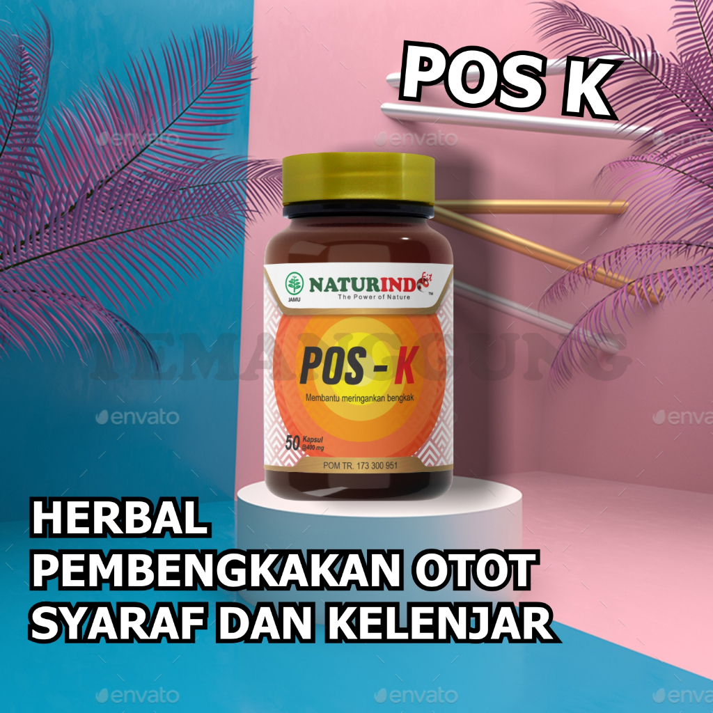 POS K NATURINDO