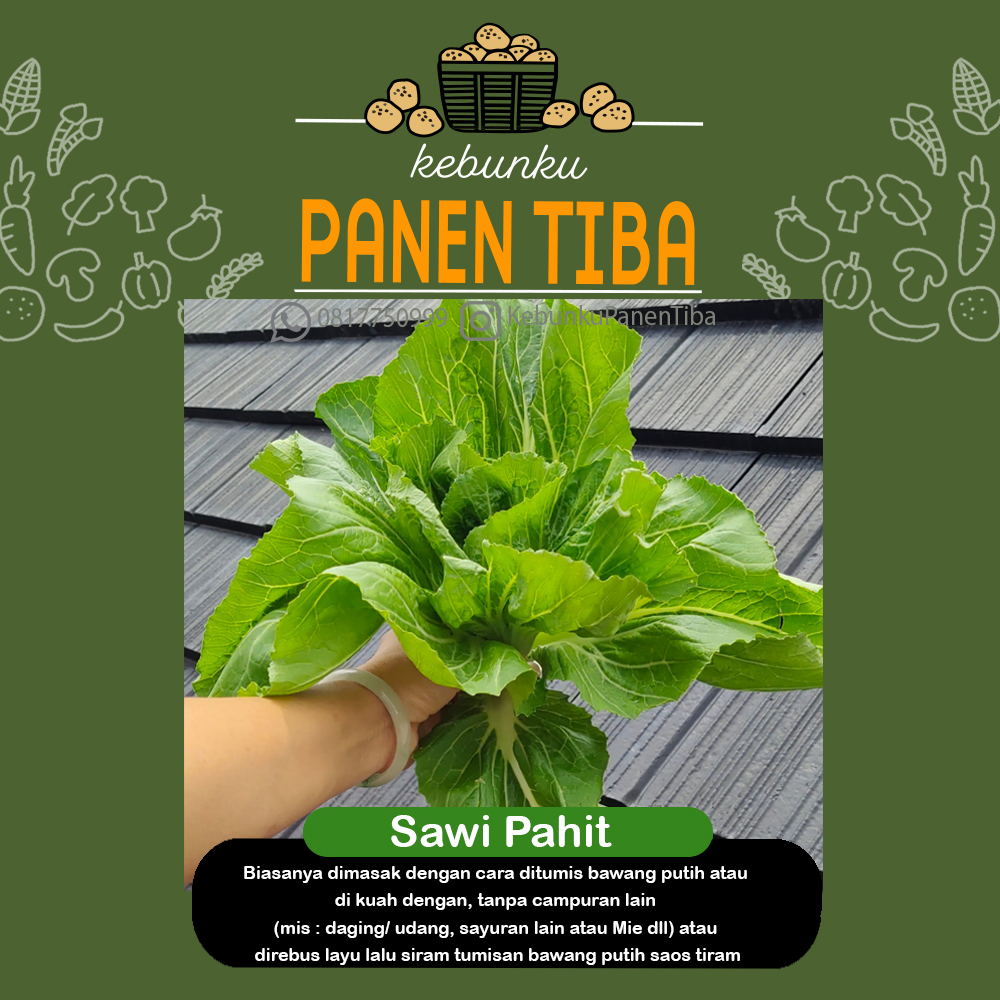 

Kebunku PANEN TIBA - Sawi Pahit/ Daging/ Jabung HydroponicSayur Buah Nutrisi Setiap Hari