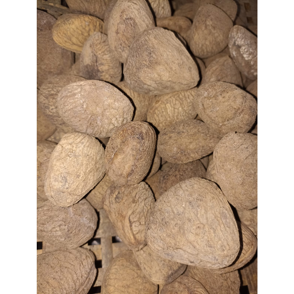 

PUCUNG/KLUWEK KERING FRESH 1KG