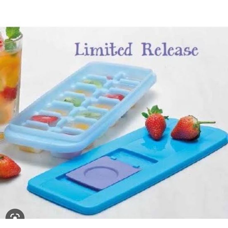Tupperware Ice Tray