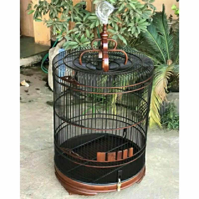 Sangkar Murai no 2, Sangkar Kicau Mania,Sangkar Jati Jepara,Sangkar Burung Cat Duco,Sangkar Murai Uk