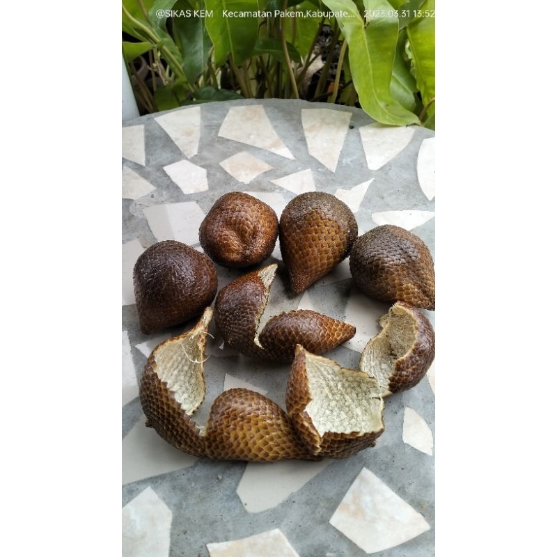 

kulit salak pondoh 1kg