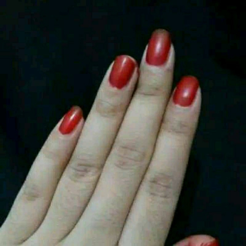 KUTEK BUBUK / HENNA BUBUK / ORIGINAL PACAR ARAB MURNI / KUTEK PACAR MUSLIM