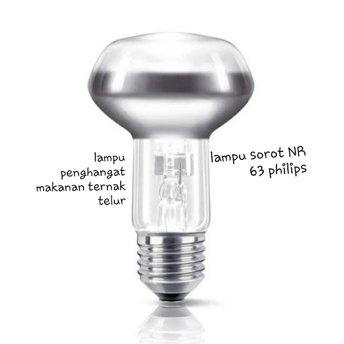 Bohlam Lampu Sorot Spot NR 63 Philips Pemanas Makanan Ternak Telur PILIP PHILIPS