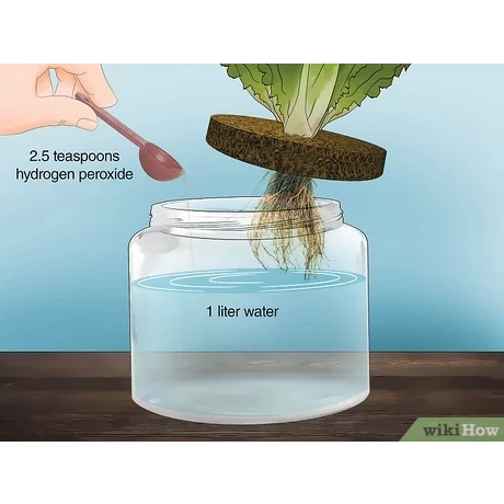H2O2 50% Hidrogen Pirosida GKM Farm