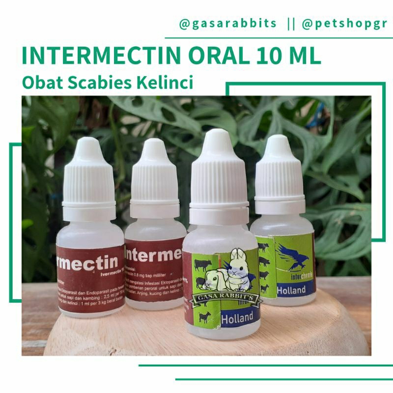 OBAT SCABIES INTERMECTIN ORAL - OBAT SCABIES KELINCI - OBAT KELINCI SCABIES - INTERMECTIN SCABIES - 