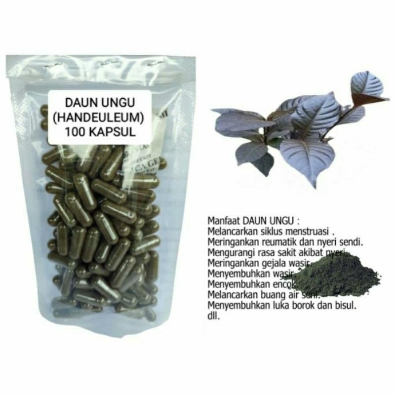 

DAUN UNGU Kapsul Herbal Alami Kemasan Hemat - isi 100 pcs