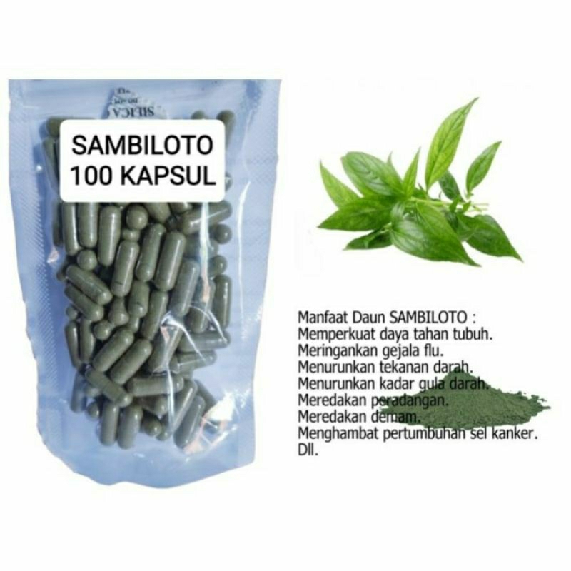 

DAUN SAMBILOTO Kapsul Herbal Alami Kemasan Hemat - isi 100 pcs