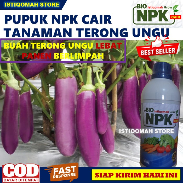 Pupuk Cair Pelebat Buah Terong Ungu Terbaik ISTIQOMAH GROW 500ML Pupuk NPK Cair untuk Tanaman Terong Ungu yang Bagus dan Ampuh, Pupuk Penyubur Terong Ungu, Pupuk Daun untuk Terong Ungu, Pupuk untuk Terong Lalap Bulat, Pupuk Buah Terong Super Lebat