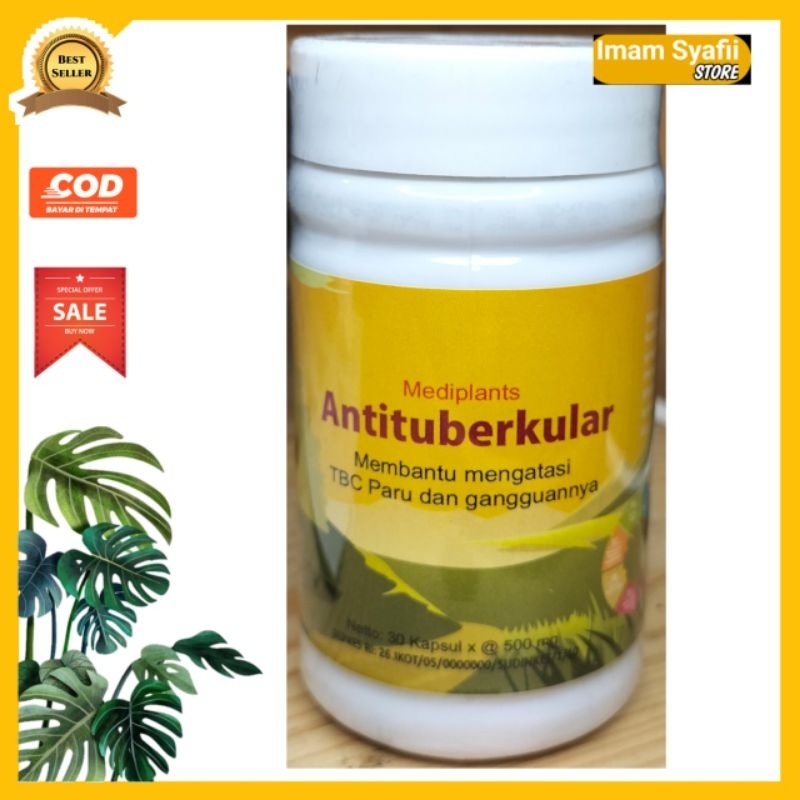 

Antituberkular/ membantu mengatasi TBC paru dan Gangguannya