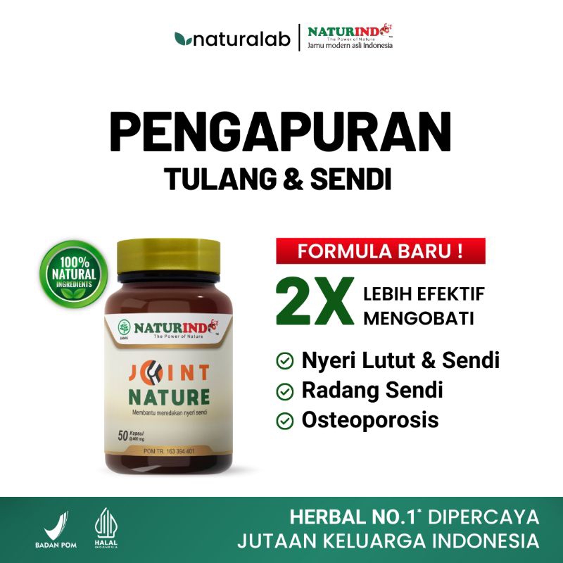 Obat Pengapuran Tulang Nyeri Sendi Tulang Keropos Osteoporosis Herbal