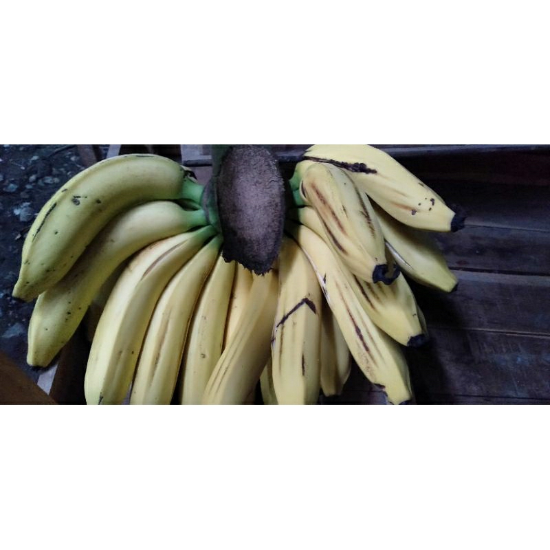 

Buah Pisang Ambon sisir @