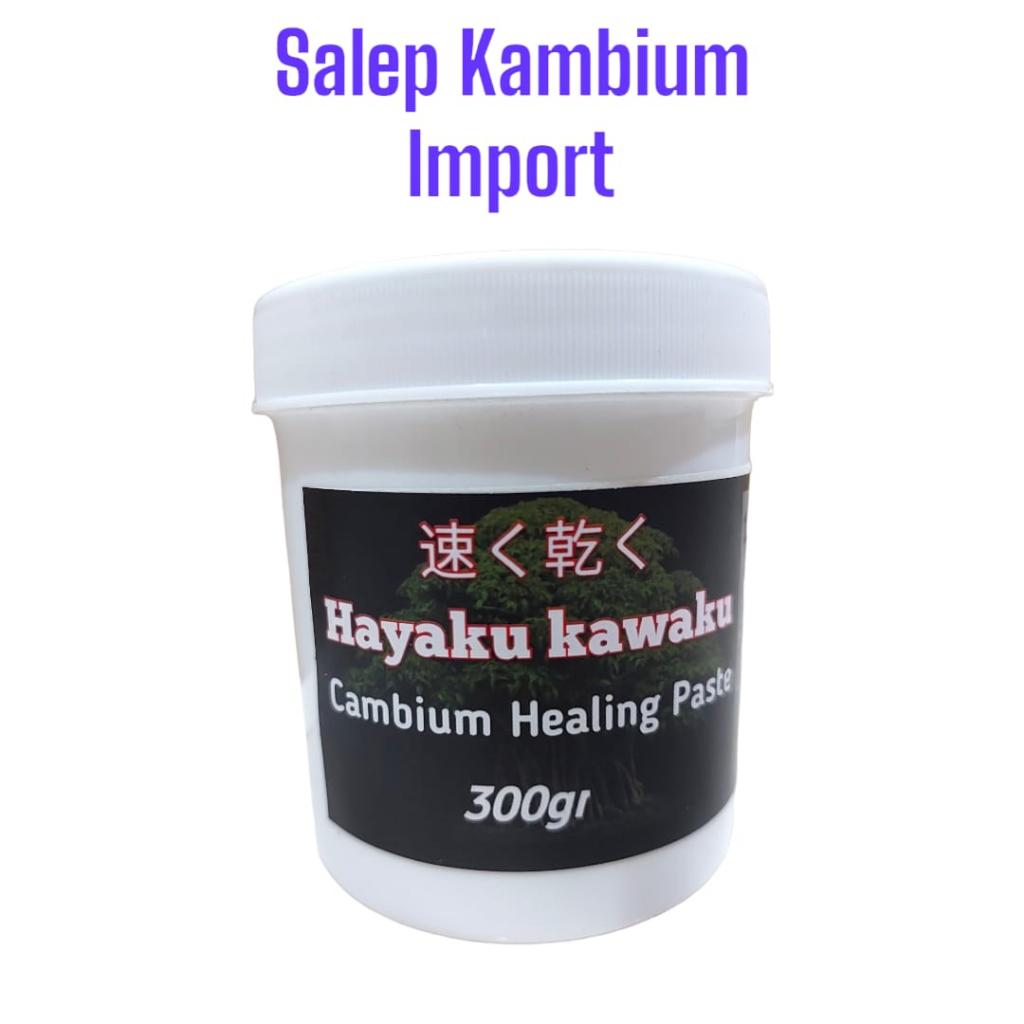 Salep Kambium Import Clear Tanpa Pewarna Japan Hayaku 300gr