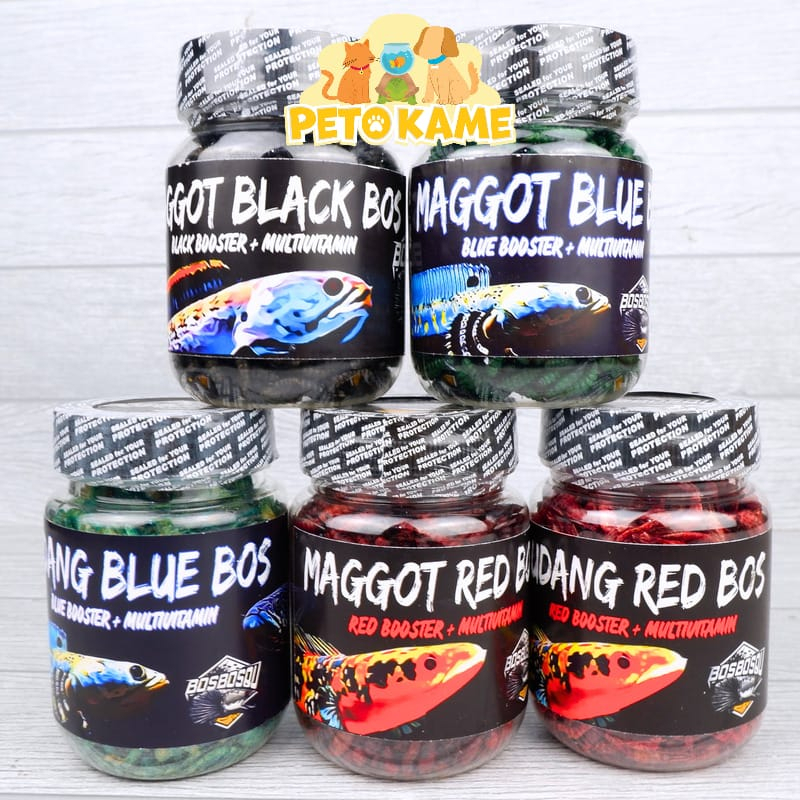 Bos Bos Qu (PILIH DI VARIAN) Maggot Udang Red Blue Black | Pakan Ikan Channa Auranti Maru Pulchra