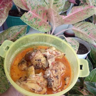 

ayam panggang sambal santan & jeroan