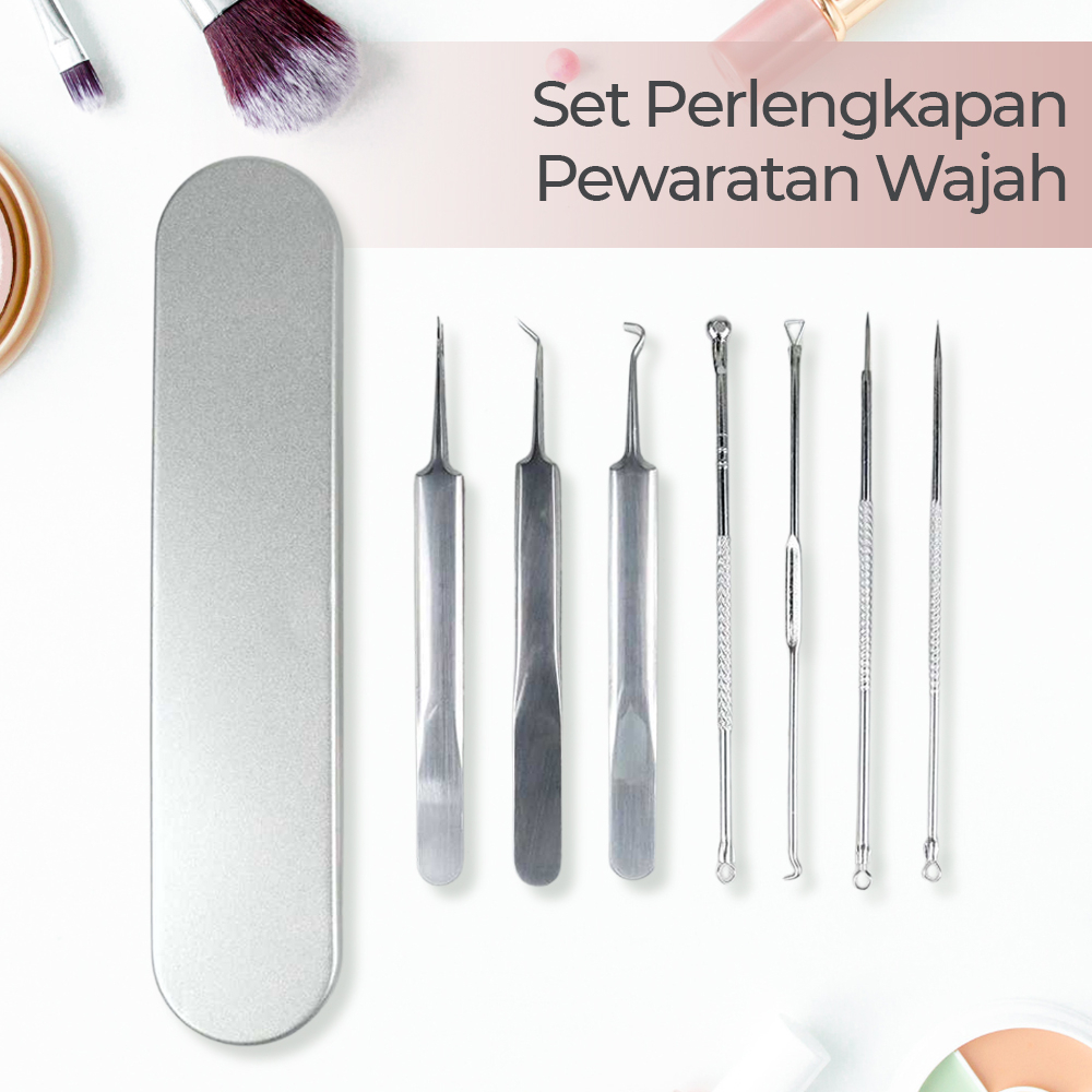 Perlengkapan Komedo Jerawat Acne Blackhead Face Skin Care 7 PCS - PT8 - Silver