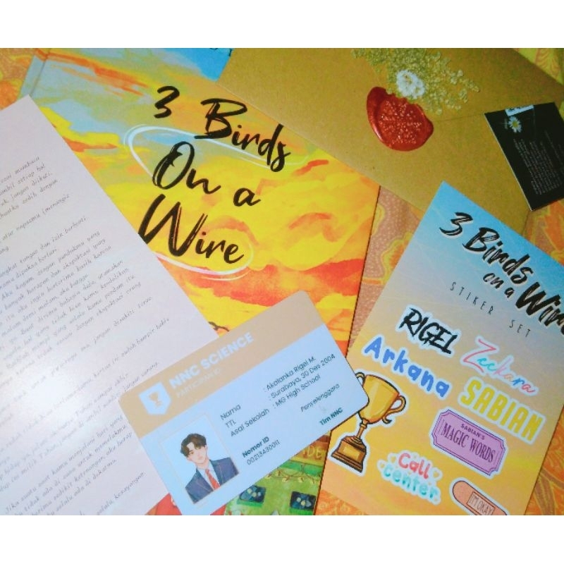 Novel 3 birds on a wire (BOOKED)