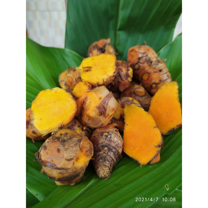 

Empu Kunyit Segar Alami 500 gram (Curcuma Longa Linn)