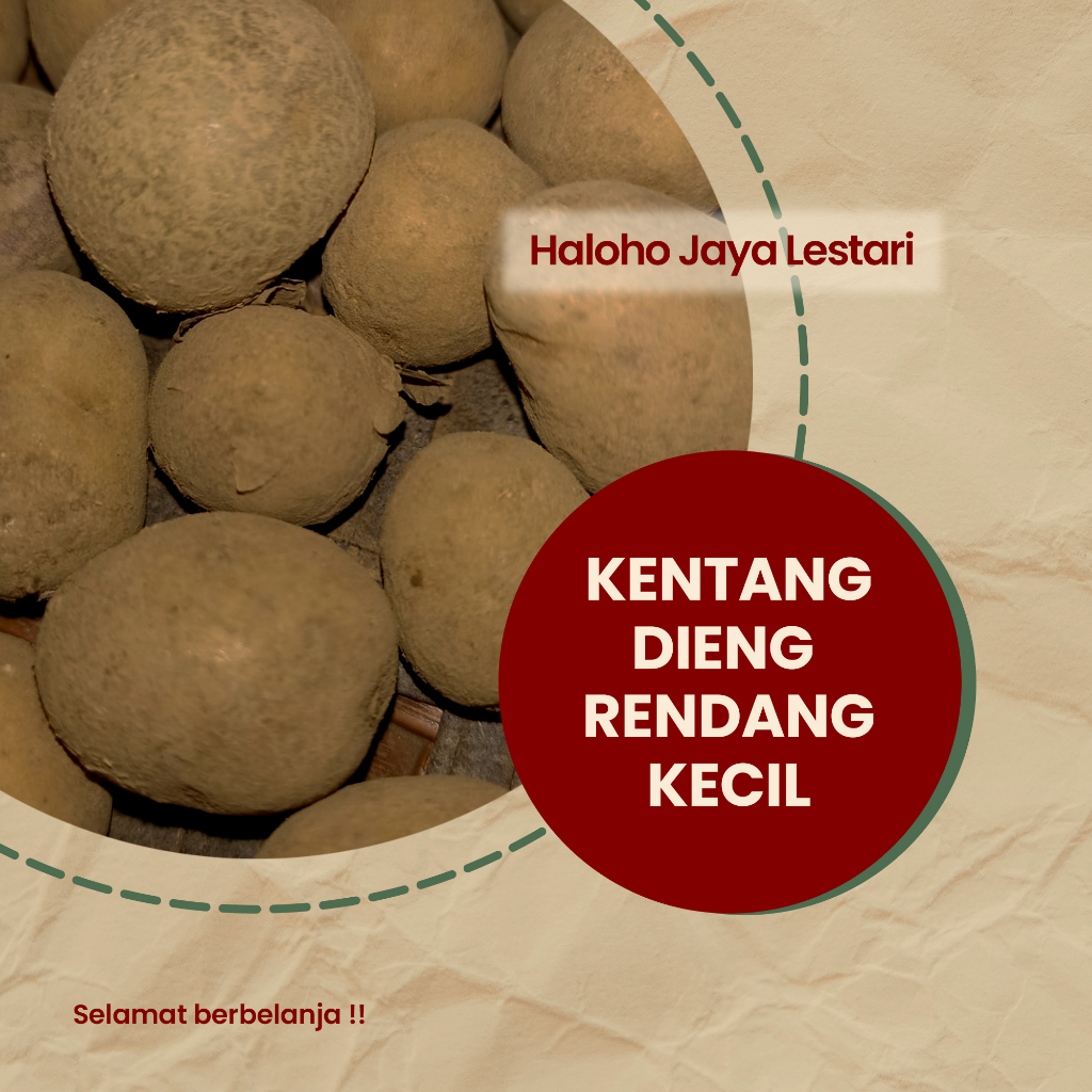 Kentang Dieng Rendang 1 kg