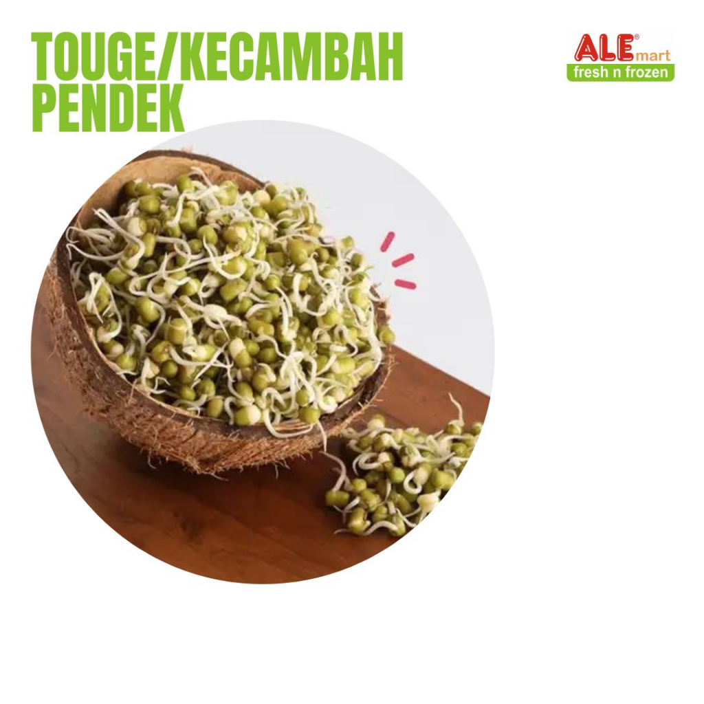 

Kecambah pendek, kecambah rawon, touge, tauge, kecambah kacang hijau