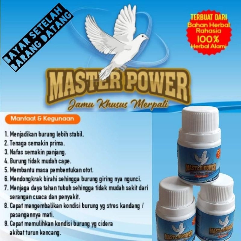 JAMU MERPATI MASTER POWER ISI 100BUTIR