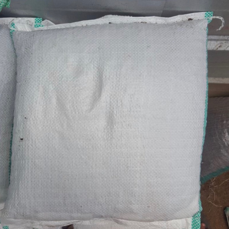 media tanam khusus tanaman hias - aglonema karung