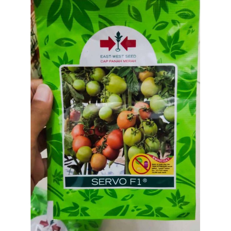 benih/bibit tomat Servo F1 cap panah merah