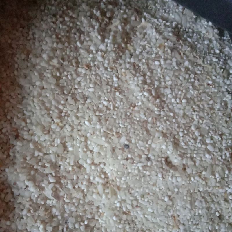 

BENYEUR / BERAS MENIR BUAT MANCING 500GR