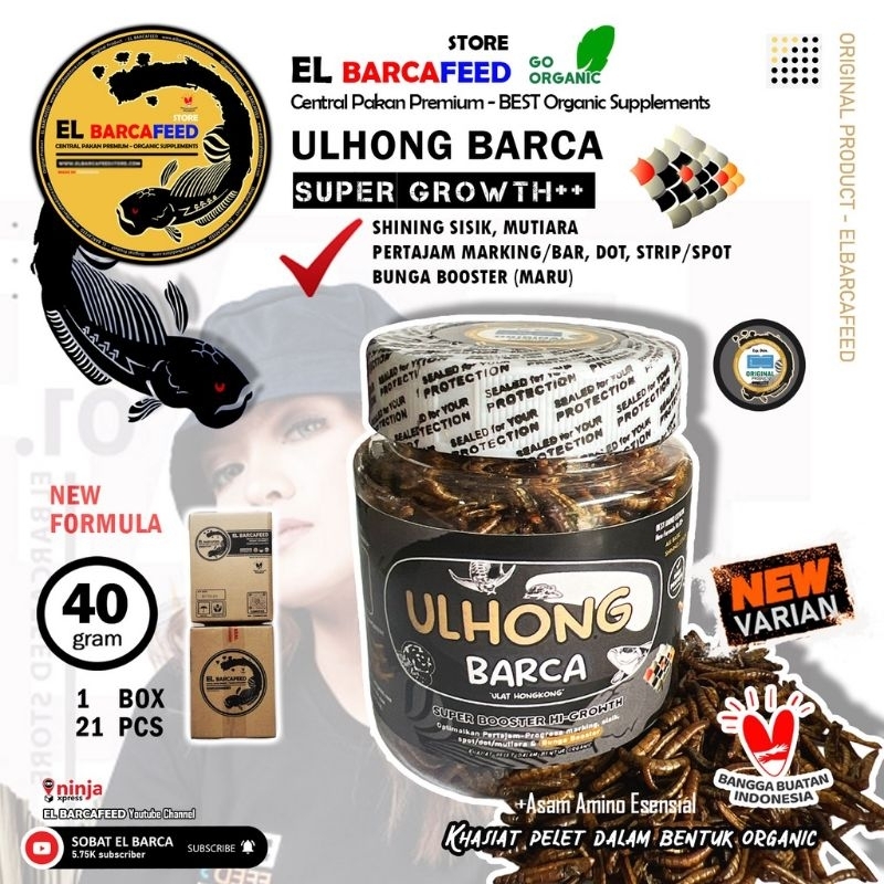 Ulhong BARCA ulat Hongkong kemasan botol 30 Gram