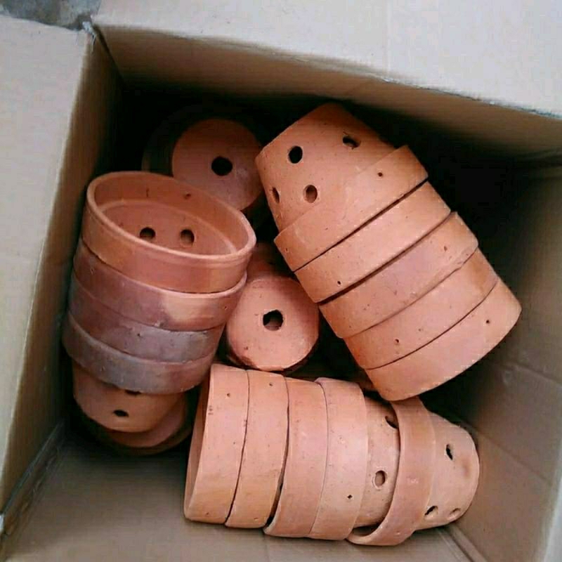 Pot anggrek - pot tanah liat anggrek