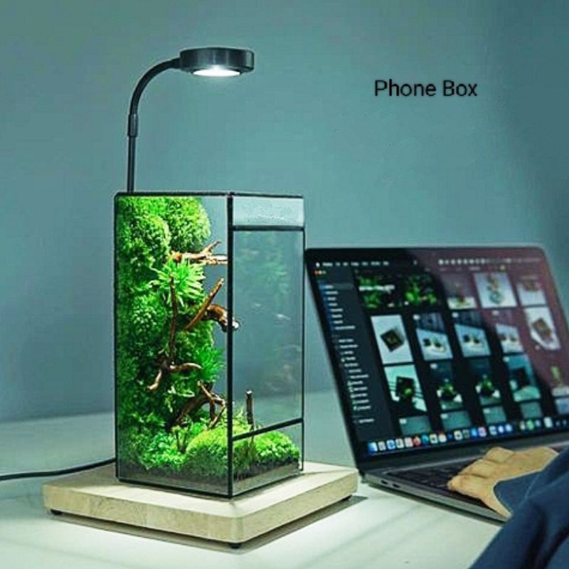 Kaca terrarium PHONE BOX / terrarium glass geometric / wadah vas kaca