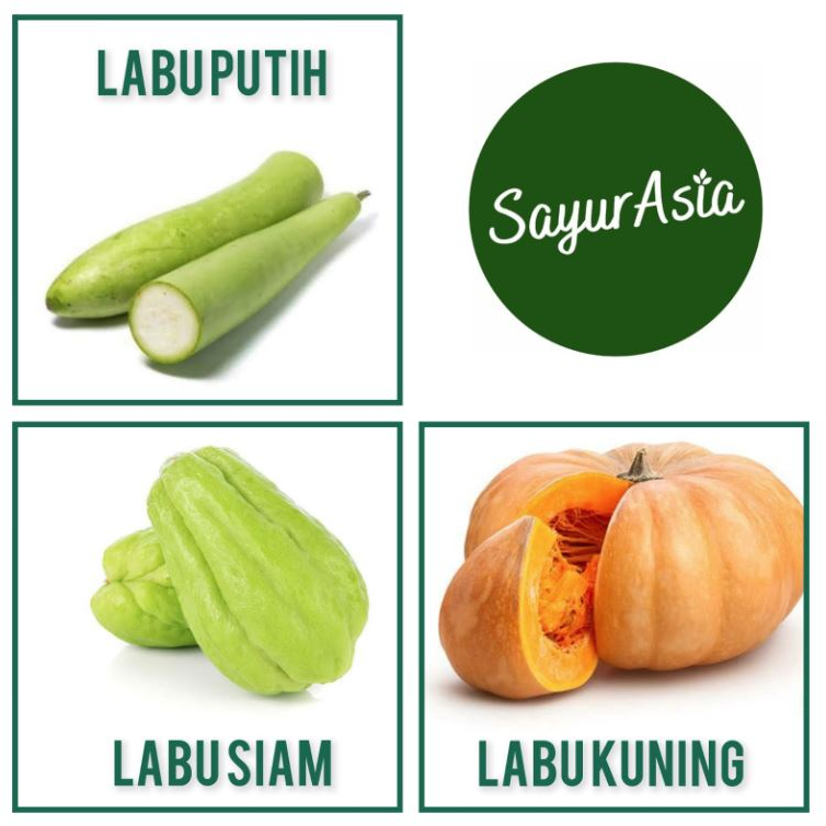 

LABU SIAM (MANISA) / LABU PUTIH / LABU KUNING