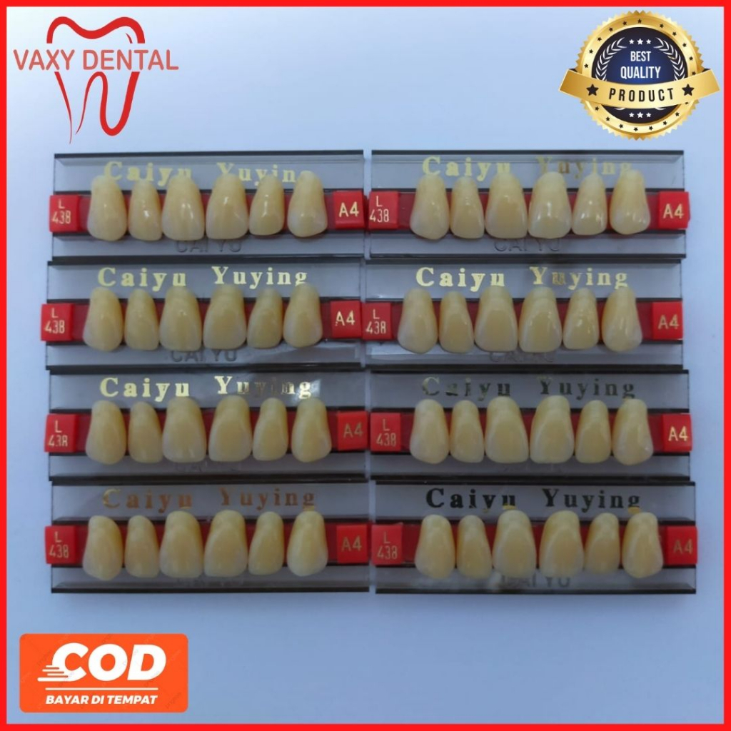 Bma Gigi Palsu Caiyu Depan Atas 1 Box/Kotak/Dus Size 501 Dan 503 Ukuran Besar Jumbo Big Size Isi 16